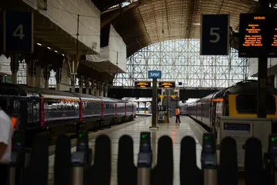 DSC_2516 (Large).JPG